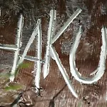 Dom wakacyjny Hakuna Matata *