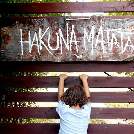 Hakuna Matata *