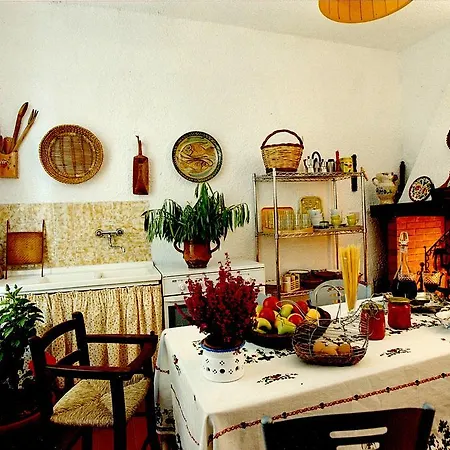 Hakuna Matata * Giove