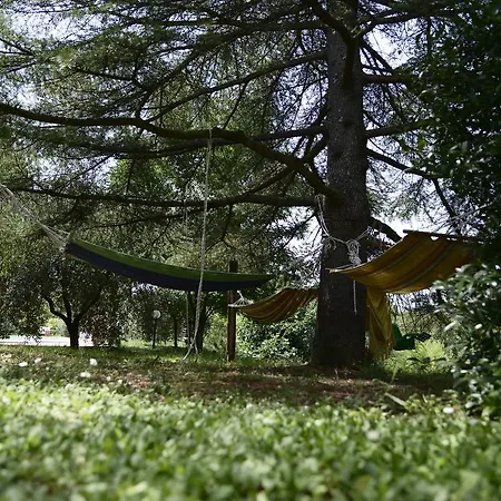 Hakuna Matata * Giove