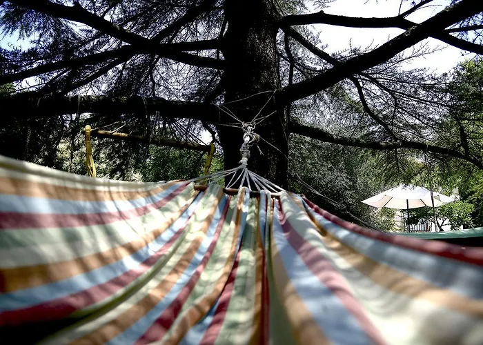 Hakuna Matata Casa de Férias *