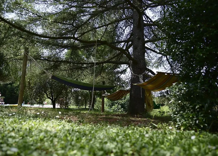 Hakuna Matata * Giove